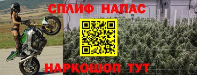 марихуана Краснознаменск