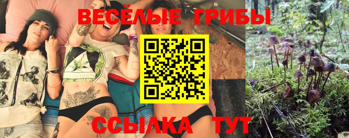 Галлюциногенные грибы MAGIC MUSHROOMS Камень-на-Оби